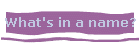 What's in a name?