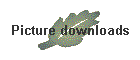 Picture downloads