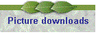 Picture downloads