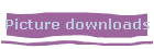 Picture downloads