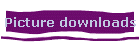 Picture downloads